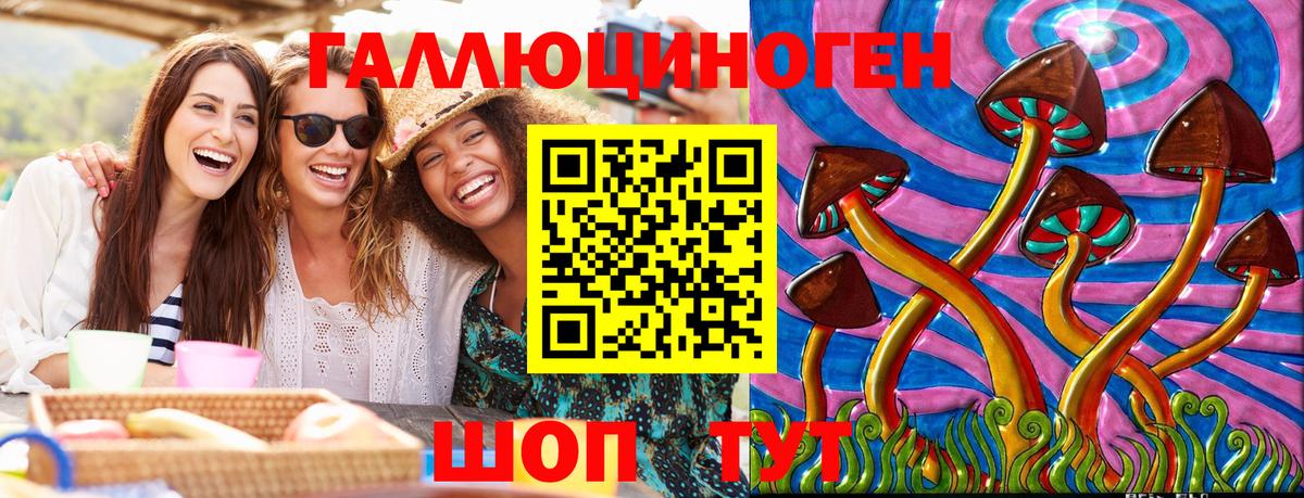 Галлюциногенные грибы Psilocybine cubensis Кисловодск
